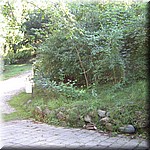 IMG_0123.JPG