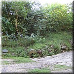 IMG_0124.JPG
