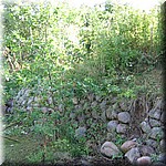 IMG_0129.JPG