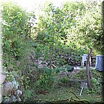 IMG_0130.JPG