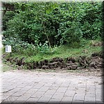 IMG_0147.JPG