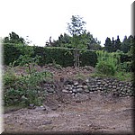 IMG_0156.JPG