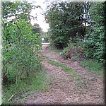 IMG_0158.JPG