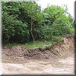 IMG_0161.JPG