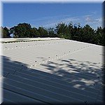 IMG_0185.JPG