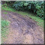 IMG_0187.JPG