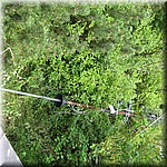 IMG_0194.JPG