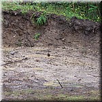 IMG_0199.JPG