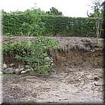IMG_0202.JPG