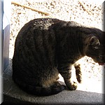 IMG_0235.JPG