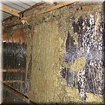 IMG_0264.JPG