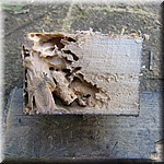 IMG_0265.JPG