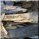 IMG_0266.JPG