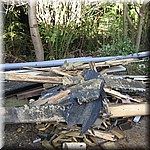 IMG_0267.JPG