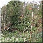 IMG_0309.JPG