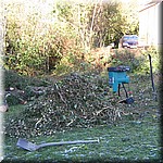 IMG_0320.JPG