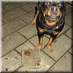 IMG_0330.JPG