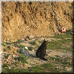 IMG_0475.JPG