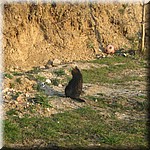 IMG_0476.JPG