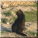 IMG_0477.JPG