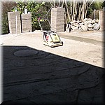 IMG_0485.JPG