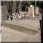 IMG_0486.JPG