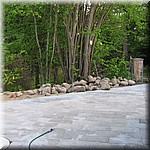 IMG_0555.JPG