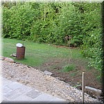 IMG_0558.JPG