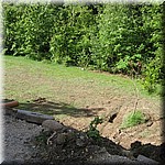 IMG_0564.JPG