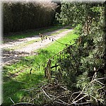 IMG_0585.JPG
